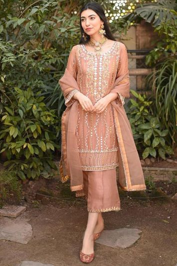 Light Brown Color Net Fabric Palazzo Suit